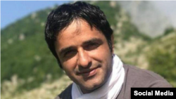 ضیا نبوی