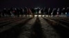 Sharp Drop in Illegal Border Crossings into US Continues in February