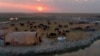FILE - Matahari terbenam di atas kandang kerbau di rawa Chabaish di Nasiriyah, sekitar 320 kilometer tenggara Bagdad, Irak, 11 September 2017. (AP/Nabil al-Jurani)