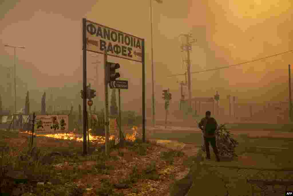 A local resident walks towards fire with a branch to use it to put out the flames during a wildfire near Penteli, Greece. Greece's civil protection authorities ordered the evacuation of several towns in the north-eastern suburbs of Athens, threatened by a violent fire that started the day before and is spreading.