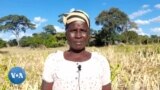 Mamwe Madzimai ekuChegutu Anoti Dunhu Ravo Rakatarisana neNzara Inotyisa Zvakaita Kuti Ashaye Nguva Yekucherechedza Mwedzi weMadzimai