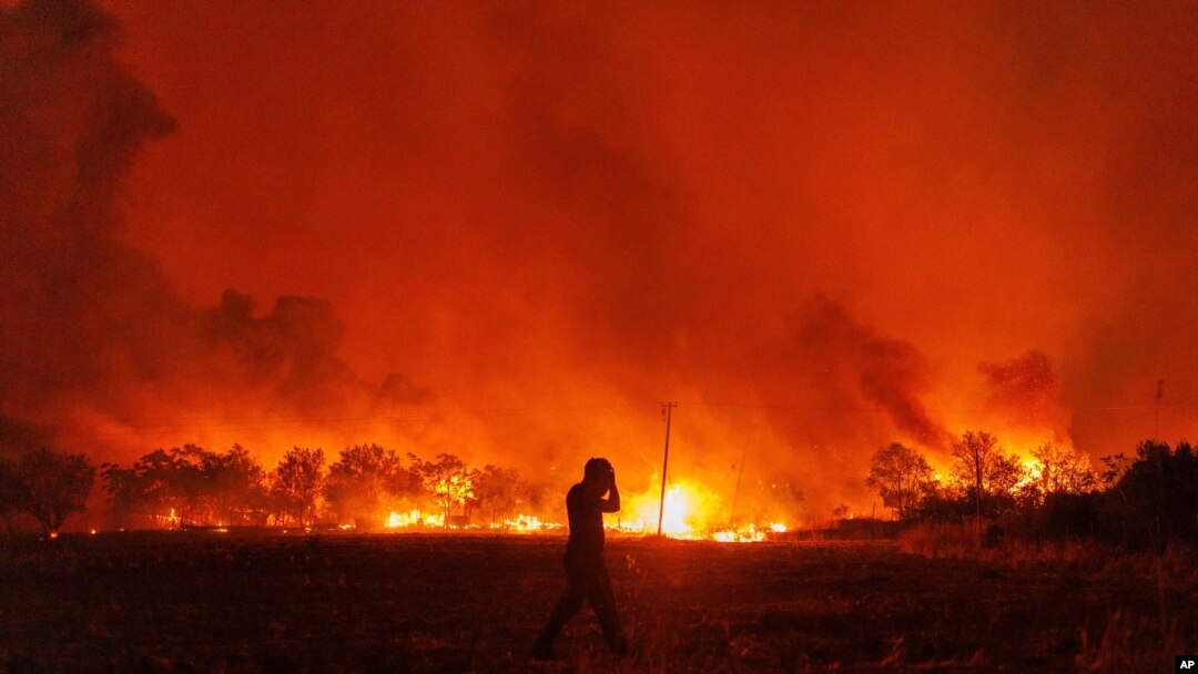 Flames burn a forest during a wildfire in Avantas village, near Alexandroupolis town, in the northeastern Evros region, Greece, Aug. 21, 2023.