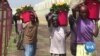 ጉዳት ለደረሰባቸው የአበባ እርሻዎች መንግሥት ድጋፍ እንዲያደርግ ተጠየቀ
