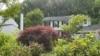 Do Americans Hate Their Lawns Enough to Get Rid of Them?
