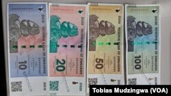 New Zimbabwe Currency, The ZiG