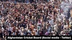 هواداران کرکت در خوست پیروزی تیم افغانستان در مقابل آسترالیا را جشن گرفتند