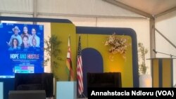USA/Zim Entrepreneur Summit