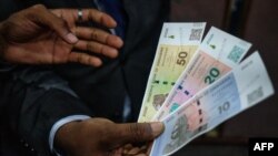 Mari itsva yeZiG inonzi iri kurambwa nevamwe vezvikoro nezvitoro.