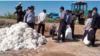 "Paxta kampaniyasi: Turkmanistonda majburiy mehnatga barham berish kerak