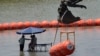 Asylum-Seekers at US Border, Afghan Flights Top Week’s Immigration News 