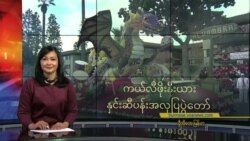 ကယ်လီဖိုးနီးယား နှင်းဆီပန်းအလှပြပွဲတော်