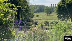 A scenic view at the U.S. National Arboretum in Washington, D.C., June 1, 2023. 