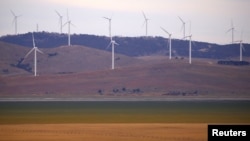 Pembangkit Listrik Tenaga Bayu (PLTB) Infigen Energy Capital di perbukitan Danau George dekat Canberra, Australia, 21 Februari 2018. Lonjakan produksi listrk dari PLTB mengurangi pasokan listrik dari PLTU batu bara di Australia hingga di bawah 50%. (Foto: David Gray/Reuters)