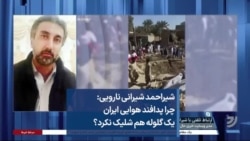 شیراحمد شیرانی نارویی: چرا پدافند هوایی ایران یک گلوله هم شلیک نکرد؟