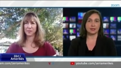 Scheindlin: Vizita e Presidentit Biden solidarizim me Izraelin