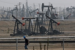 FILE - In this Jan. 16, 2015, file photo, a person walks past pump jacks operating at the Kern River Oil Field in Bakersfield, Calif.