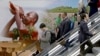 Syria Signs on to Paris Climate Agreement