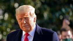 President Donald Trump