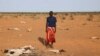 Al-Shabab Fighters Kill Crew Drilling Well in Southern Somalia