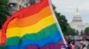 Top Democrats, Republicans in US Senate See Chance for Bill Protecting Gay Marriage 