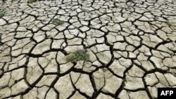 This photo taken on Aug. 16, 2022, shows a section of a parched riverbed along the Yangtze River in China's southwestern Chongqing. 