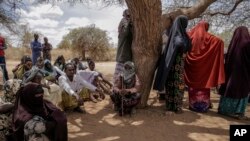 Sejumlah warga desa berkumpul di Wagalla, Kenya utara, untuk menyambut kedatangan ketua Program Pangan Dunia (WFP) David Beasley pada 19 Agustus 2022. (Foto: AP/Brian Inganga)