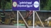 UN: Myanmar’s Militias, Rebel Armies Ramping Up Drug Trade