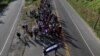 Trump Mulls Migrant Travel Ban