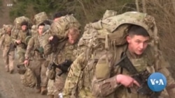 In Forests Along Polish Border, US Troops Edge Closer to Ukraine Conflict 