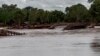 Western Australia in Grip of 'Devastating' Flood Emergency