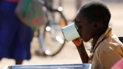 Udaba Esilethulelwe nguBathabile Masuku