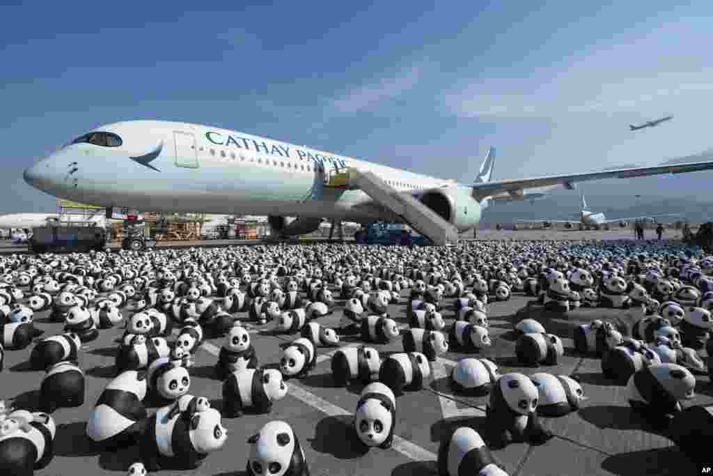 Part of 2,500 panda sculptures are displayed at the Hong Kong International Airport during a welcome ceremony of the panda-themed exhibition "Panda Go!" in Hong Kong.