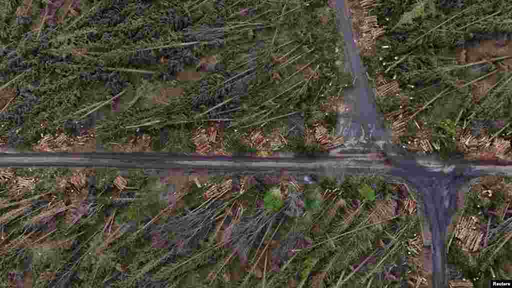 A drone view shows the damage in Mote forest where over half the trees fell as a result of Storm Eowyn, as a clean up operation is underway, near Roscommon, Ireland, Feb. 8, 2025.