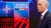 NATO Summit: Growing Calls for Tougher Military Response to Russia 