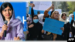 ملاله یوسفزی، در یک پیام ویدیویی گفته است که با شماری از فعالان زن، در مقابل ساختمان سازمان ملل متحد تجمع کرده و خواستار توجه رهبران جهان به وضعیت زنان و دختران در افغانستان، غزه و برخی از کشورهای دیگر شده‌اند.