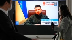 岸田文雄與澤連斯基預計北約峰會期間會面