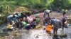 Moradores do distrito de Lembá sem água potável, São Tomé e Príncipe
