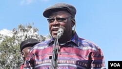 Mumwe mutevedzeri weCCC, VaTendai Biti.