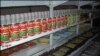 Zimbabwe Allows Private Millers to Import Maize