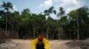 Brazil’s Amazon Deforestation Hits Record for Month of April 