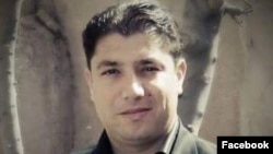 وحید پیمان