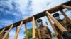 New Sri Lanka Prime Minister Warns of ‘Difficult’ Days Ahead 