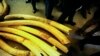 Zimbabwe Urges Sale of Stockpile of Seized Elephant Ivory 