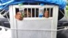 Sempat Dipelihara Warga di Bogor, Orangutan Sumatra Akhirnya Dipulangkan ke Habitatnya