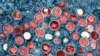 DR Congo detects at least 25 mpox cases in Goma