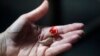 FDA Change Ushers In Cheaper, Easier-to-Get Hearing Aids