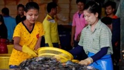 ရွှေ့ပြောင်းလုပ်သားအရေး အစိုးရ ပိုလုပ်ဆောင်ပေးသင့်