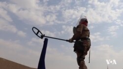 Jinên Mûsilî yên Paqjkarên Mayînan