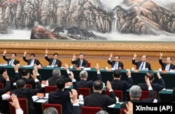 中共領導人習近平和他的班子在中共二十大會議上齊齊舉手。（2022年10月18日）
