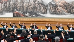 黨國化的中國誰是自己人？